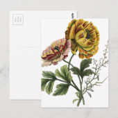 Vintage Mohnblumen Postkarte (Vorne/Hinten)