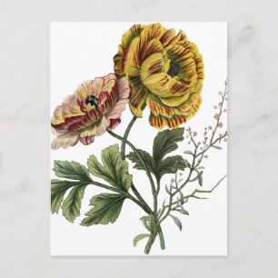 Vintage Mohnblumen Postkarte