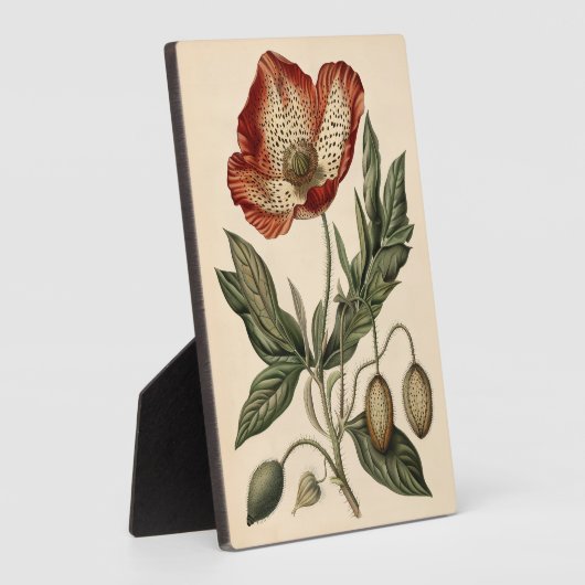 Vintage Mohnblüte Fotoplatte (Seite)