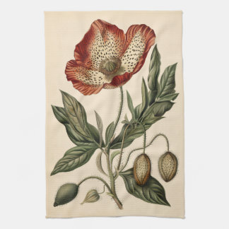 Vintage Mohnblüte Geschirrtuch