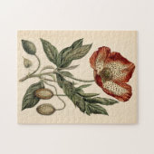 Vintage Mohnblüte Puzzle (Horizontal)