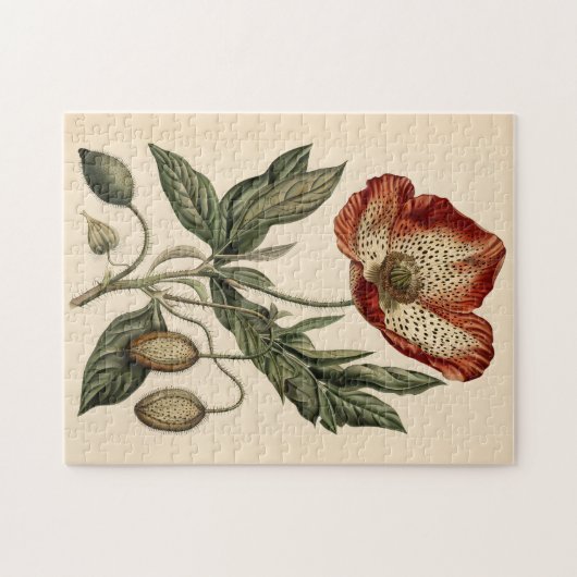 Vintage Mohnblüte Puzzle (Horizontal)