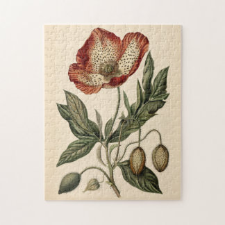 Vintage Mohnblüte Puzzle