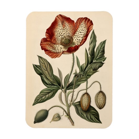 Vintage Mohnbotanische Illustration flexibel Magnet (Vertikal)