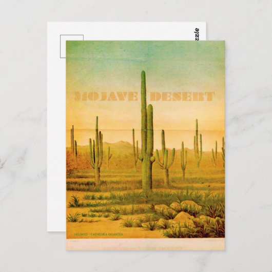 Vintage Mojave Wüste Reise Postkarte (Vorne/Hinten)