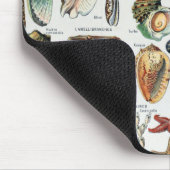 Vintage Mollusken-Muscheln Mousepad (Ecke)