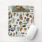 Vintage Mollusken-Muscheln Mousepad (Mit Mouse)