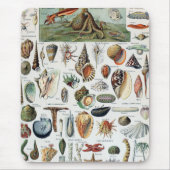 Vintage Mollusken-Muscheln Mousepad (Vorne)