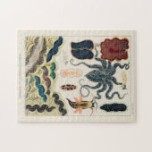 Vintage Mollusken und Planarierinnen im Riffenriff Puzzle (Horizontal)