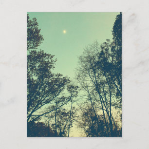 Vintage mondhelle Nacht Postkarte