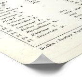 Vintage Mondkarte (1880) Poster (Ecke)