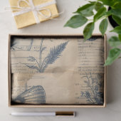 Vintage monochrome Farbschmetterlinge Rose Seidenpapier (Geschenk)