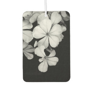Vintage Monochrome Plumbago-Kunstwerk Autolufterfrischer
