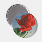 Vintage Montreux Rote Rose Schweiz Genfersee Magnet (Vorderseite/Rückseite)