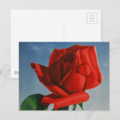 Vintage Montreux Rote Rose Schweiz Genfersee Postkarte (Vorne/Hinten)