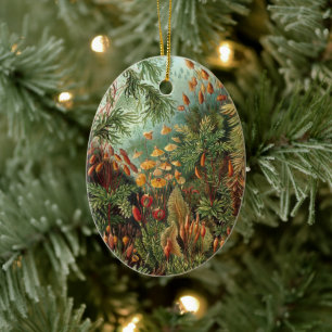 Vintage Moospflanzen von Ernst Haeckel, Muscinae Keramik Ornament