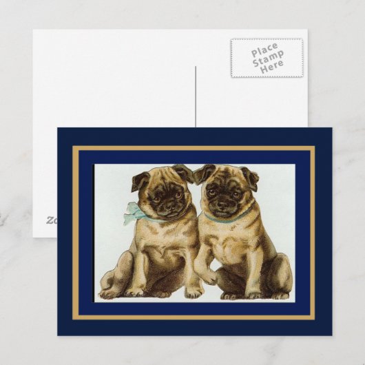 Vintage Mops Hunde Postkarte (Vorne/Hinten)