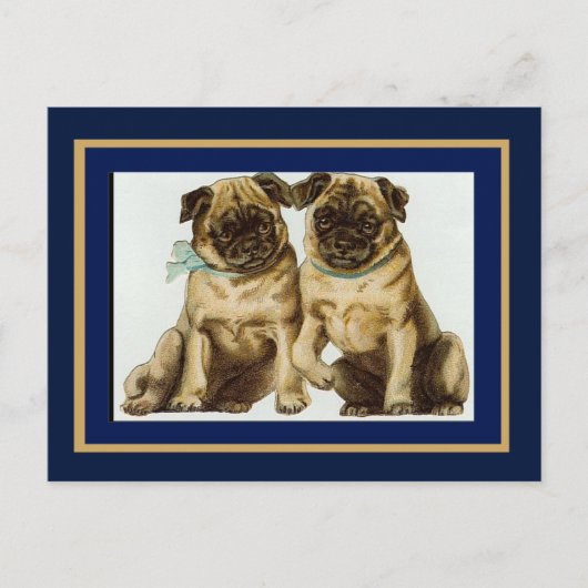Vintage Mops Hunde Postkarte (Vorderseite)