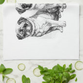 Vintage Mops-Illustration Küchentuch (Gefaltet)