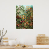 Vintage Moss-Pflanze von Ernst Haeckel, Muscinae Poster (Küche)