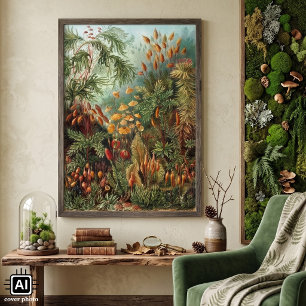 Vintage Moss-Pflanze von Ernst Haeckel, Muscinae Poster