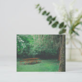 Vintage Mossy-Bench-Postkarte Postkarte (Stehend Vorderseite)