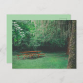 Vintage Mossy-Bench-Postkarte Postkarte (Vorne/Hinten)