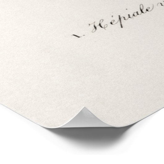 Vintage Moth Illustration Poster (Ecke)