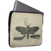 Vintage Moth Metamorphasis Laptopschutzhülle (Vorne Rechts)
