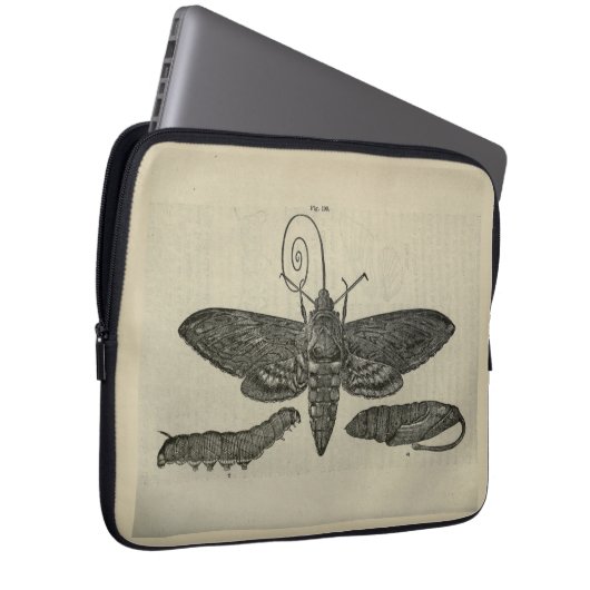 Vintage Moth Metamorphasis Laptopschutzhülle (Vorne Rechts)
