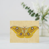 Vintage Moth Postkarte (Stehend Vorderseite)