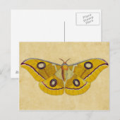 Vintage Moth Postkarte (Vorne/Hinten)