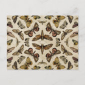 Vintage Motherkarten Postkarte (Vorderseite)