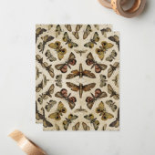 Vintage Motive Mitteilungskarte (Vorderseite/Rückseite Beispiel)