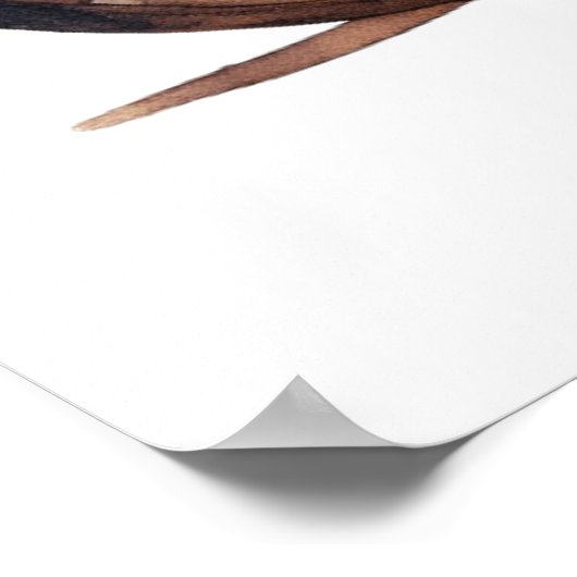 Vintage Motorradfarbe Poster (Ecke)