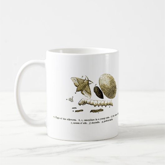 Vintage Motte des Insekten-Bild-| der Kaffeetasse (Links)