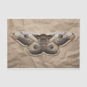 Vintage Motte Seidenpapier (Vorderseite)