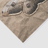 Vintage Motte Seidenpapier (Ausschnitt)