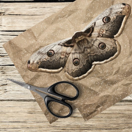 Vintage Motte Seidenpapier