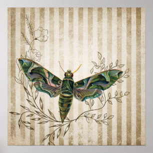 Vintage-Motte und florales Quadrat Poster