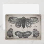 Vintage Mottelepidoptera-Illustration (57) Einladung (Vorne/Hinten)