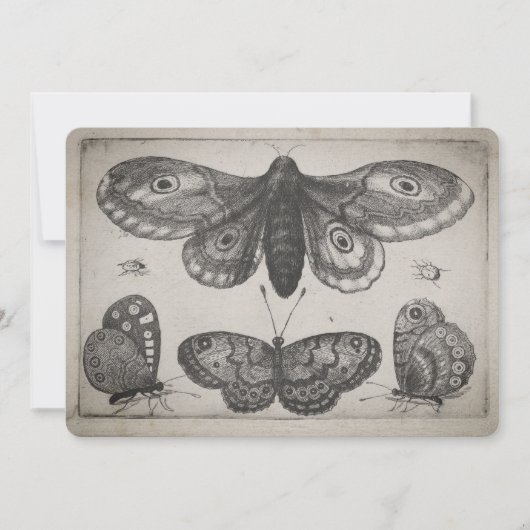 Vintage Mottelepidoptera-Illustration (57) Einladung (Vorderseite)