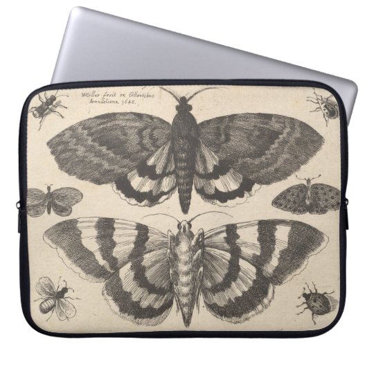 Vintage MotteLepidoptera Laptopschutzhülle (Vorderseite)