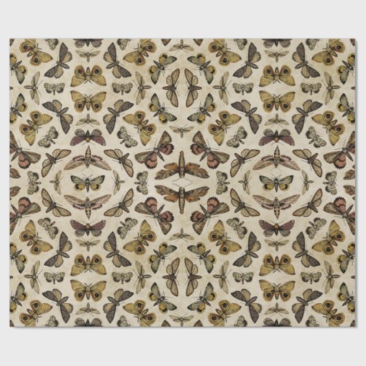Vintage Motten Geschenkpapier (Flach)