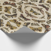 Vintage Motten Geschenkpapier (Ecke)