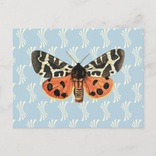 Vintage-Motten-Illustration Pop-Art Postkarte