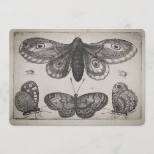 Vintage-Motten-Lepidoptera-Illustration (57) Einladung