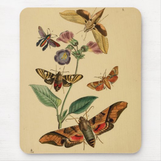 Vintage-Motten-Mauspad Mousepad (Vorne)