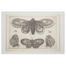 Vintage Motten-Schmetterlinglepidoptera-Tapisserie