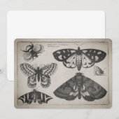 Vintage Motten-Schmetterlings-Bienen-Illustration Einladung (Vorne/Hinten)